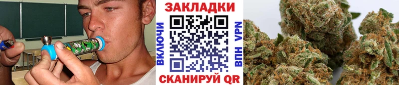 Как найти закладки Новоалександровск Галлюциногенные грибы  Канабис  Alpha PVP 