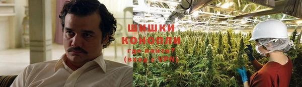 ПСИЛОЦИБИНОВЫЕ ГРИБЫ Абаза