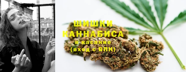 ПСИЛОЦИБИНОВЫЕ ГРИБЫ Абаза