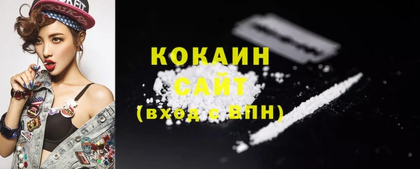 ПСИЛОЦИБИНОВЫЕ ГРИБЫ Абаза