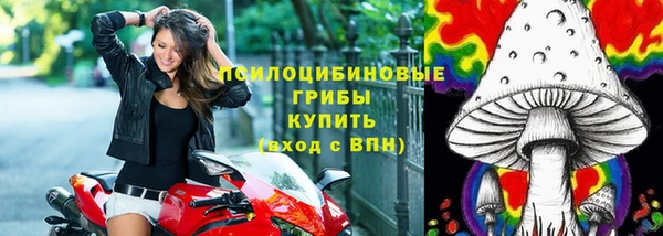 ПСИЛОЦИБИНОВЫЕ ГРИБЫ Абаза