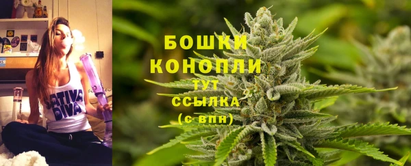 ПСИЛОЦИБИНОВЫЕ ГРИБЫ Абаза