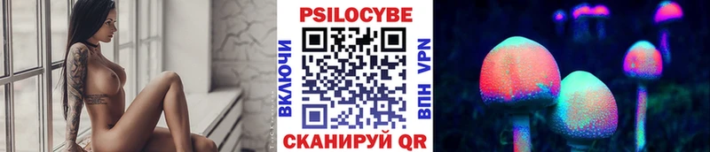 Галлюциногенные грибы ЛСД Новоалександровск