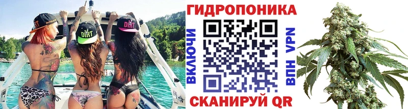 Бошки марихуана VHQ  Новоалександровск 